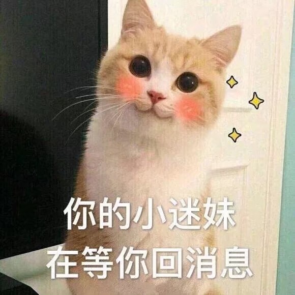小仙女专用表情包