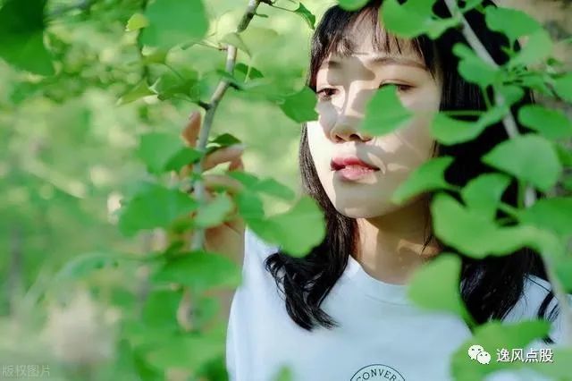 中狼什么女成语