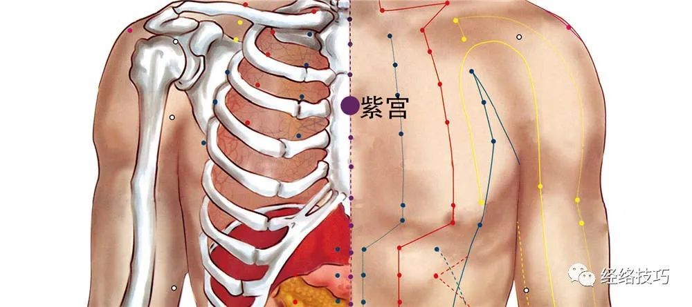 穴位图紫宫穴呃逆心烦就找它