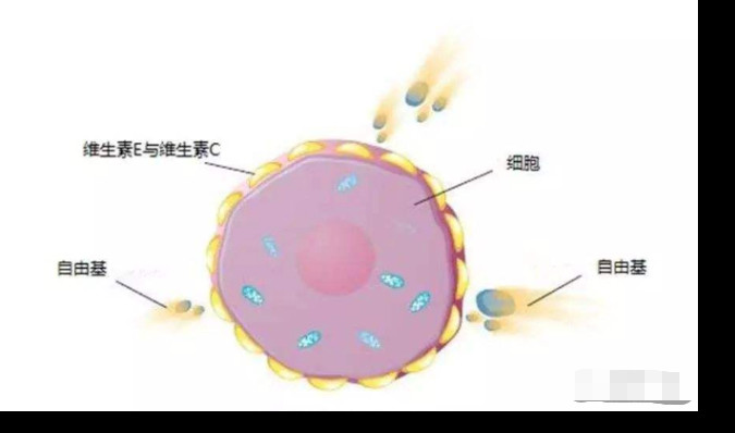 阿黛尔是换人演了吗！200斤体重减掉一半变成纸片人，怎么做到的？