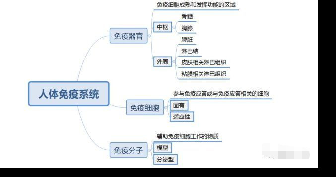 阿黛尔是换人演了吗！200斤体重减掉一半变成纸片人，怎么做到的？