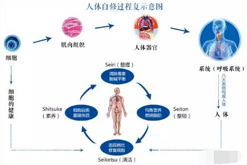 阿黛尔是换人演了吗！200斤体重减掉一半变成纸片人，怎么做到的？