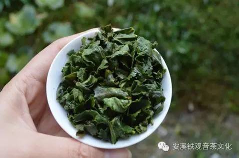 铁观音传统工艺与新工艺之大不同