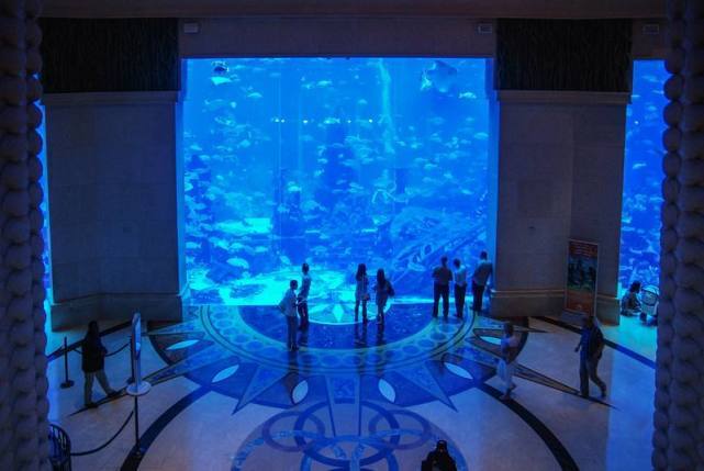 国内第一家亚特兰蒂斯，海底套房一晚108888，可以看着鲨鱼入眠