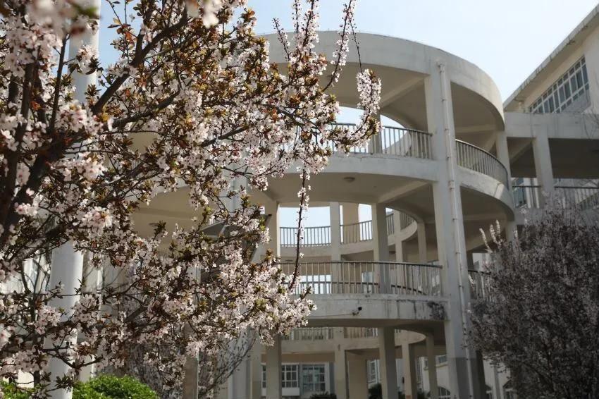 河南财政金融学院:2020年招生简章发布,面向全国招生3850人!