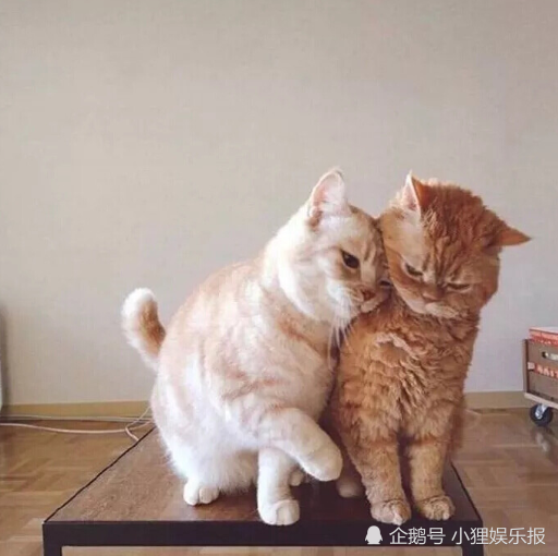 想要知道自己是假胖还是真胖？看看这3地方有没有赘肉，答案一目了然