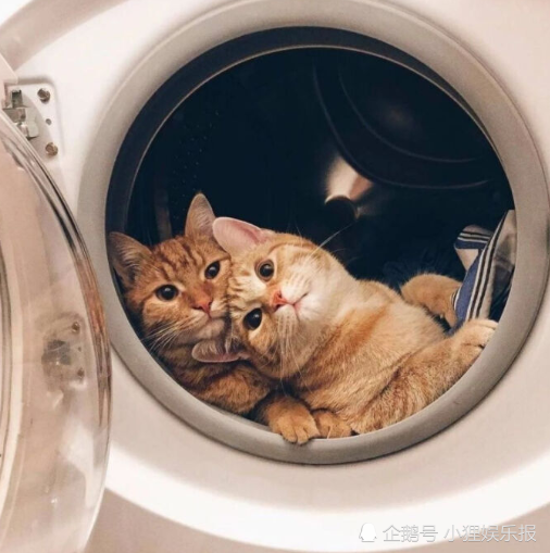 想要知道自己是假胖还是真胖？看看这3地方有没有赘肉，答案一目了然