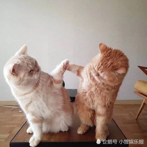 想要知道自己是假胖还是真胖？看看这3地方有没有赘肉，答案一目了然