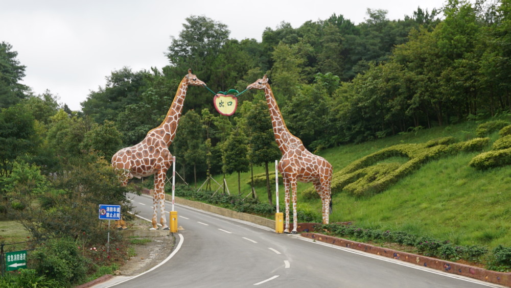 贵阳野生动物园:这里郁郁葱葱,猿啼鸟叫,你去过吗?这份攻略,请收下!