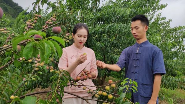 乐山网红"婵子姐姐和弟弟"为家乡"带货|唐炜韬|网红|婵子姐姐|抖音