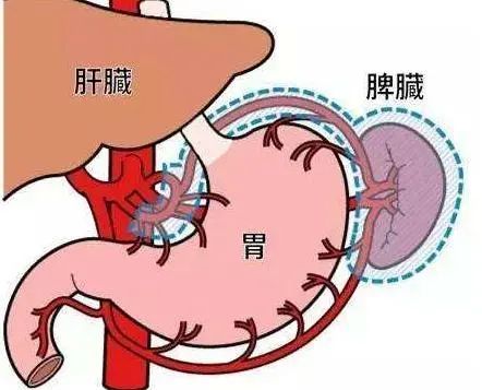 心、肝、脾、肺、肾，五脏藏毒都有哪些表现？如何排毒更健康