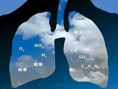 心、肝、脾、肺、肾，五脏藏毒都有哪些表现？如何排毒更健康