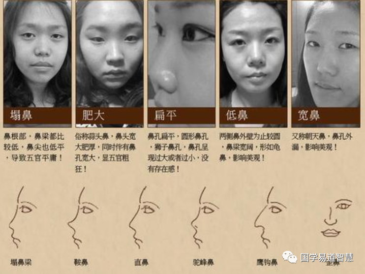 面相学:教你如何看女人的鼻子以及类型