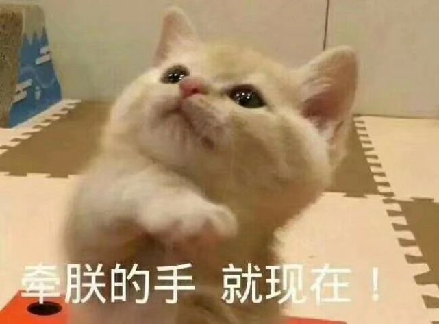今天段公子就带大家去瞅瞅!