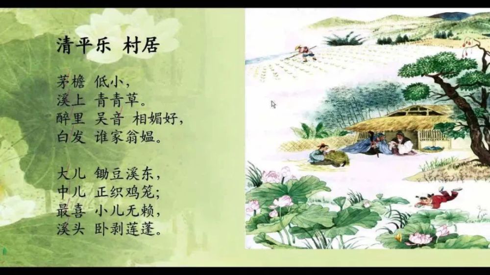 【每天一首】之《清平乐 村居》小学生必背古诗词