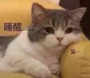 表情包:刚睡醒哈|表情包