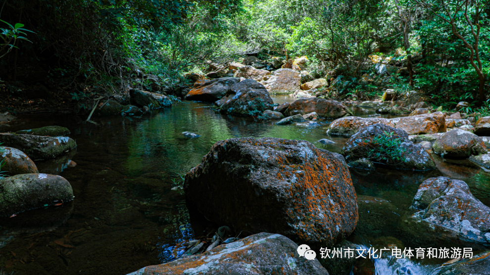 钦州八寨沟