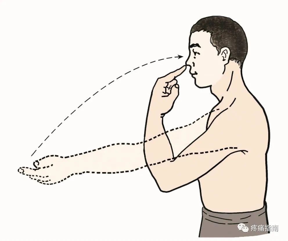 运动查体肌肉各论（九）