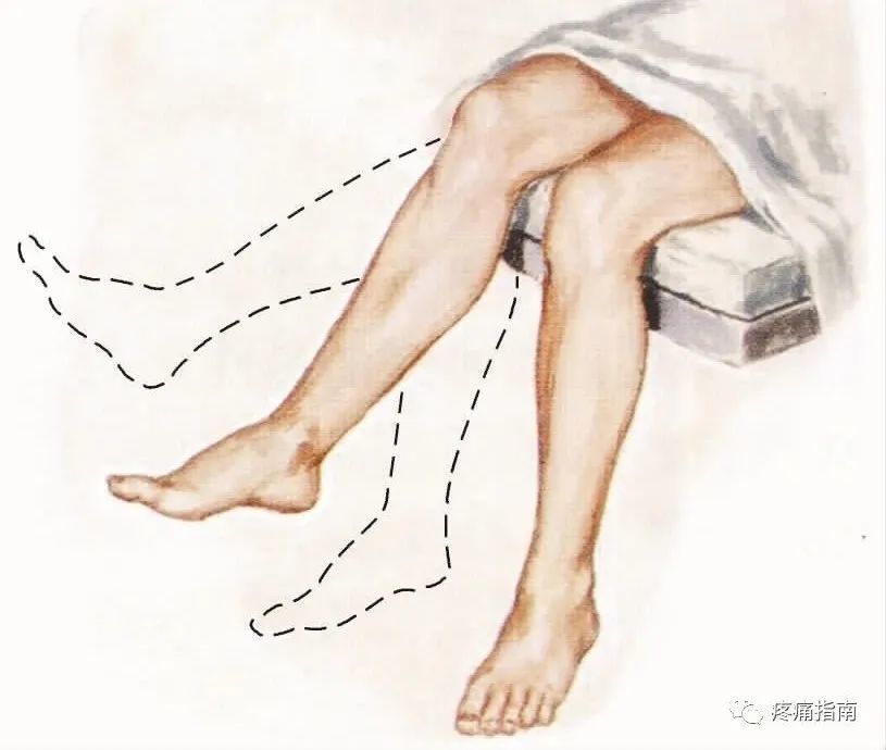 运动查体肌肉各论（九）
