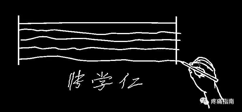 运动查体肌肉各论（九）