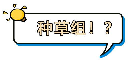 纯物理防晒真的好？可能又闷又厚，拔草与种草5款纯物理防晒霜