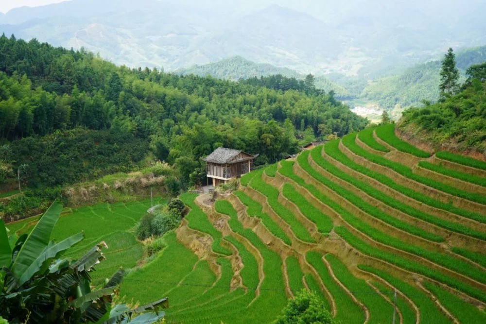 抓住暑期的尾巴……来上堡梯田,解锁绝佳的避暑胜地!