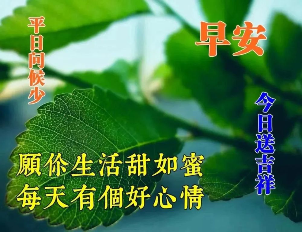朋友圈新的一天早上好最美祝福语 温暖人心的早安祝福