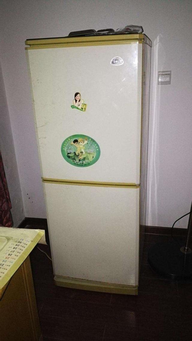 八十年代,中国第一家完成全部国产化的冰箱整机伯乐牌冰箱在南京诞生
