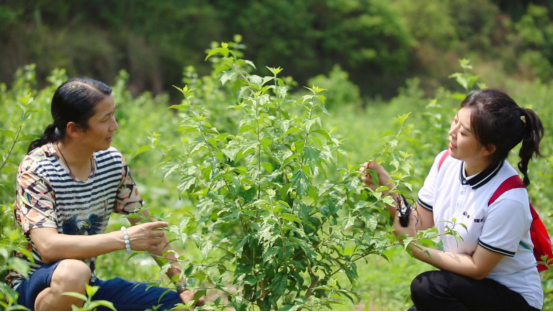 地,古绵治所,位于巴蜀腹地,涪江以东,因东汉高士李意期仙游此地而得名