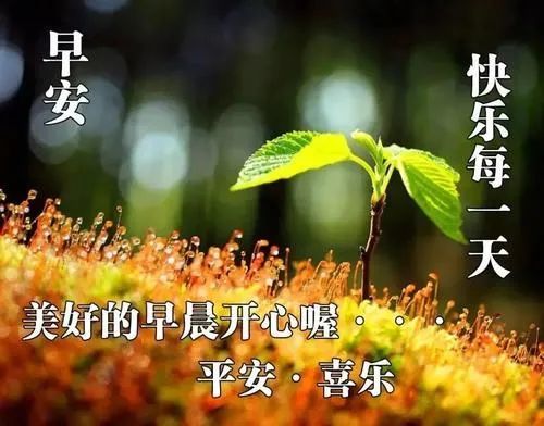 夏天天气热清晨问候朋友表情图片,祝福亲人短信句子