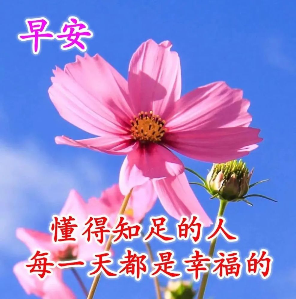 8月5日早安问候每日一祝