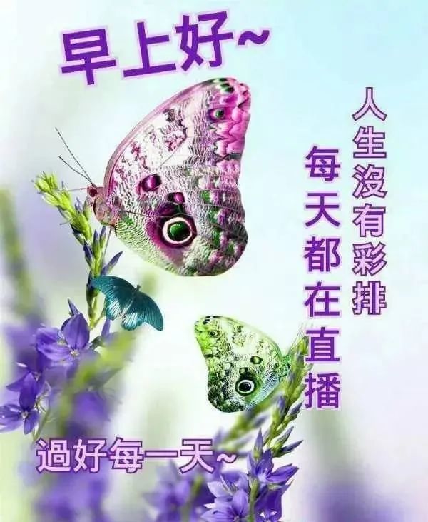 8月5日清晨早安问候动态表情图片 早上好祝福美图动态