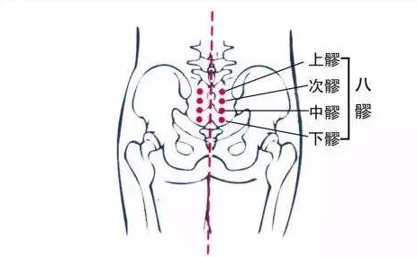 八髎调妇科给子宫驱寒补阳挫八髎艾灸6穴位调大部分妇科病67