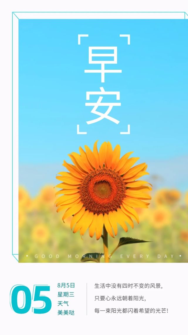 每日一句正能量