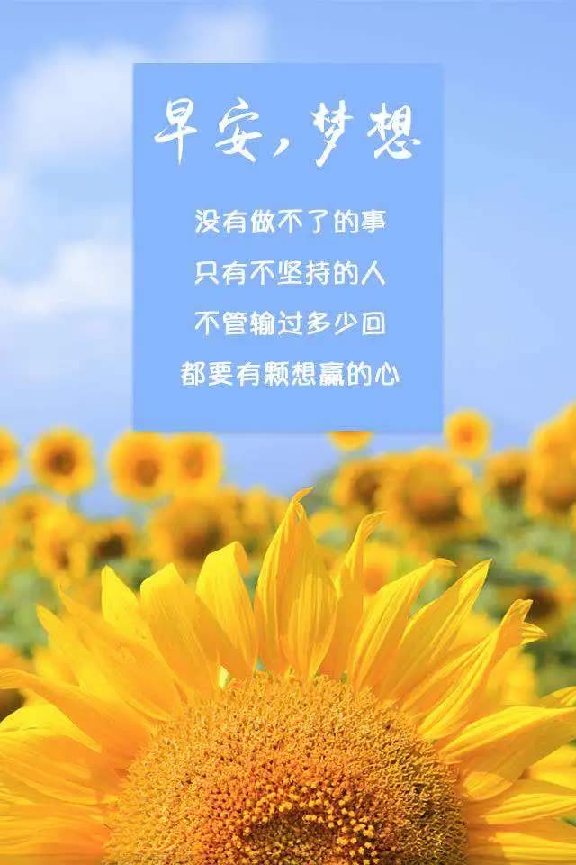 8月5日,朋友圈,早安正能量励志的句子