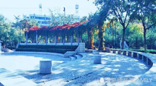 石家庄铁道大学校园美景