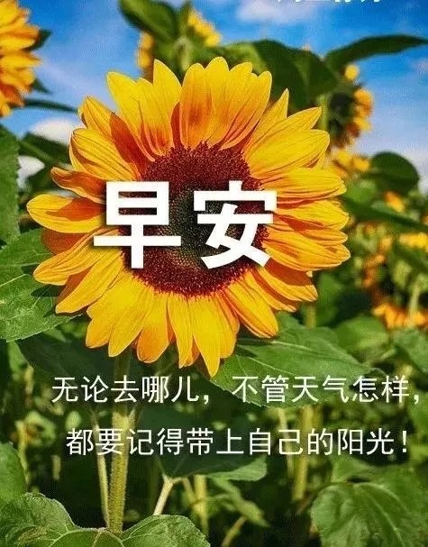 早安祝福唯美图片带字