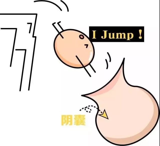 对孩子危害极大的"隐睾",家长该如何正确应对?