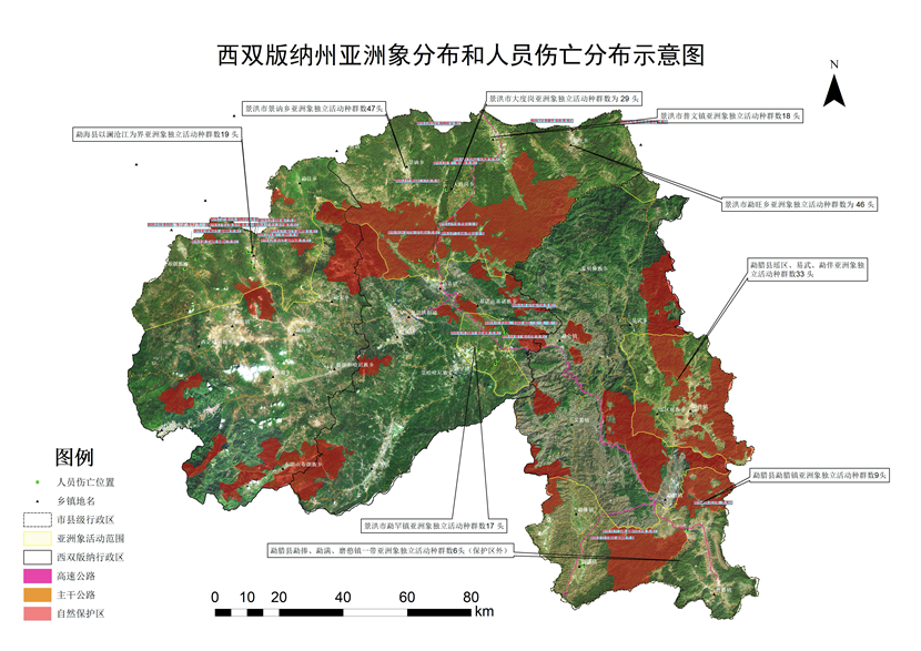 2019年5月29日,云南景洪市景讷乡发生野象伤人事件,丈夫逃脱妻子遇袭