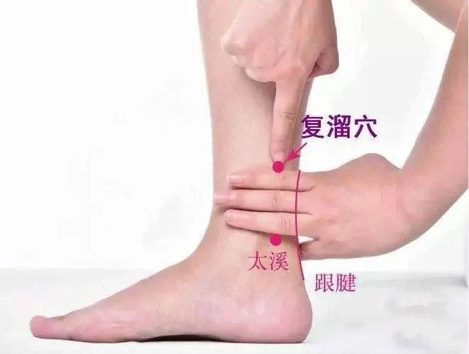 复溜穴 在小腿内侧,内踝尖上2寸,跟腱的前缘.