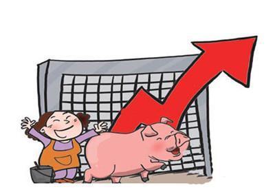 8月5日生猪价涨跌互现,养猪人狂补栏,猪肉,鸡蛋又要涨