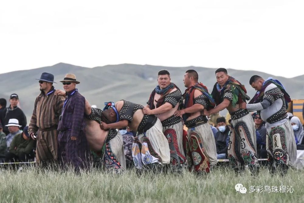 摄影师拍摄:白音锡勒牧场那达慕蒙古搏克精彩瞬间_腾讯新闻
