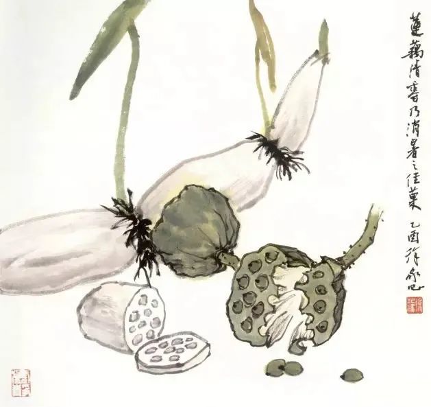 荷花画法写意和工笔都有看这篇就够了