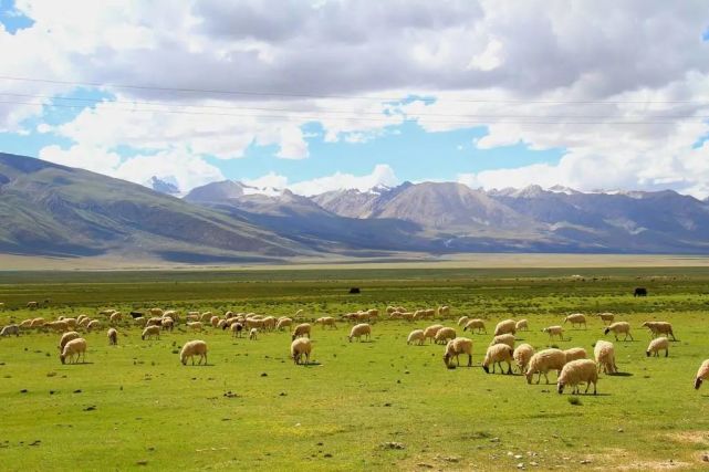 西藏羌塘草原 迷离而斑斓的游牧文化