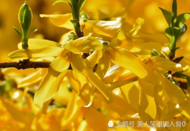生肖属蛇的人,心地善良,热情大方,他们命格五行属火,擅长社交,在人际