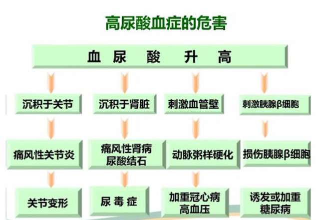 高尿酸≠痛风,但危害也大!
