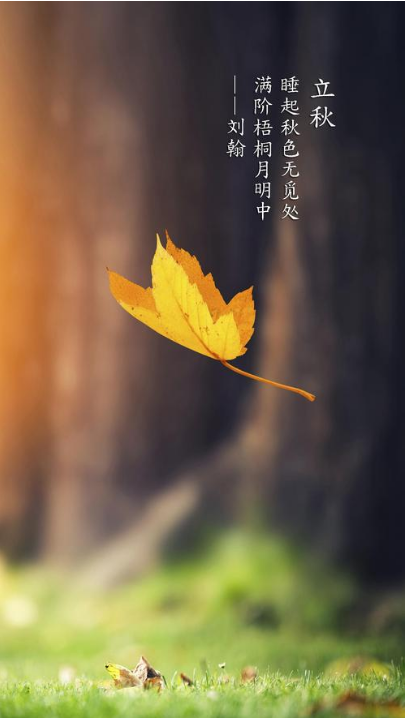 【诗词鉴赏】节物催吾老 天涯见立秋,邂逅最美立秋