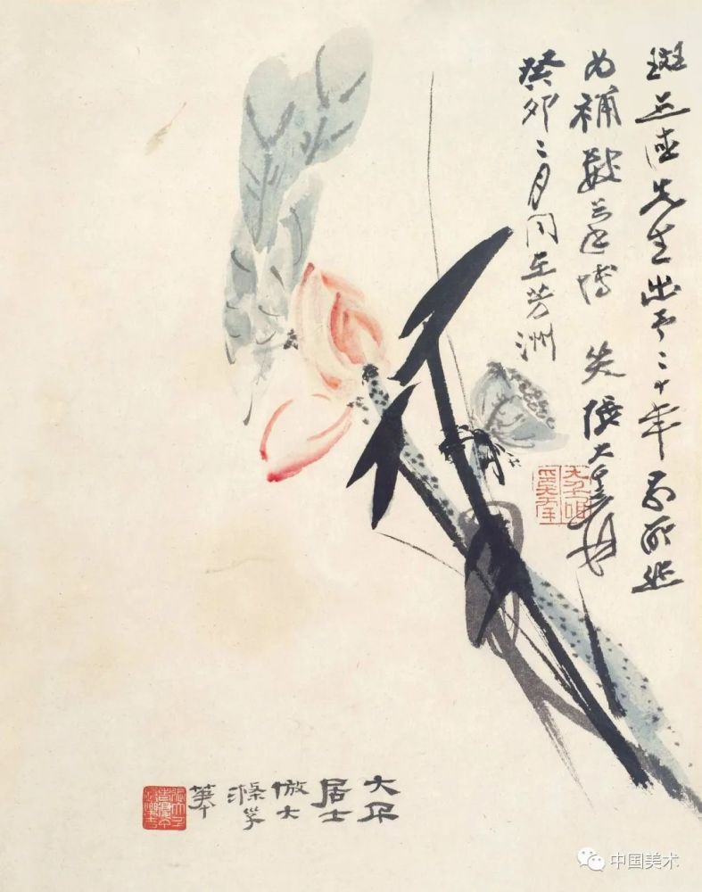 张大千花鸟画(50幅)
