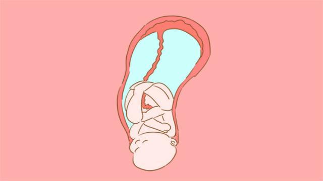 在孕期，宝宝就知道偷偷保护着妈妈，看完这些后觉得太暖心了