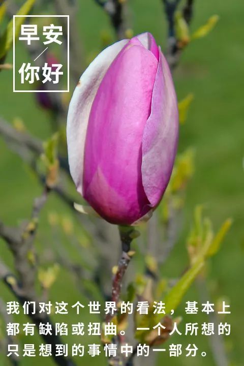 早安语录正能量 早安心语句子